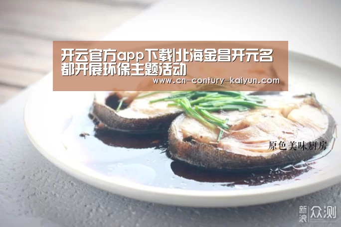 开云app下载